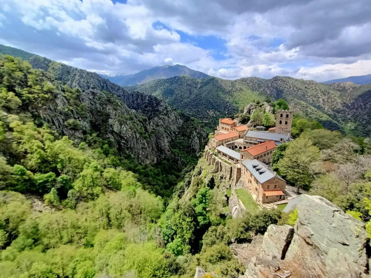 Bed & Breakfast Le Mas Palegry Chambres D'hotes Avec Vue Sur Jardin