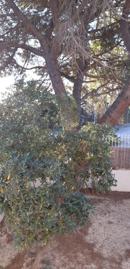 Le Mas Palegry Chambres D'hotes Avec Vue Sur Jardin Bed & Breakfast Perpignan